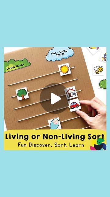 Living Non Living Activities Preschool, Science Living And Non Living Activities, Early Science Activities Preschool, Living And Non Living Things Activities For Preschool, Living Things Activities Preschool, Preschool Living And Nonliving, Living And Nonliving Preschool, Animals Science Activities, Living Non Living Activities Montessori