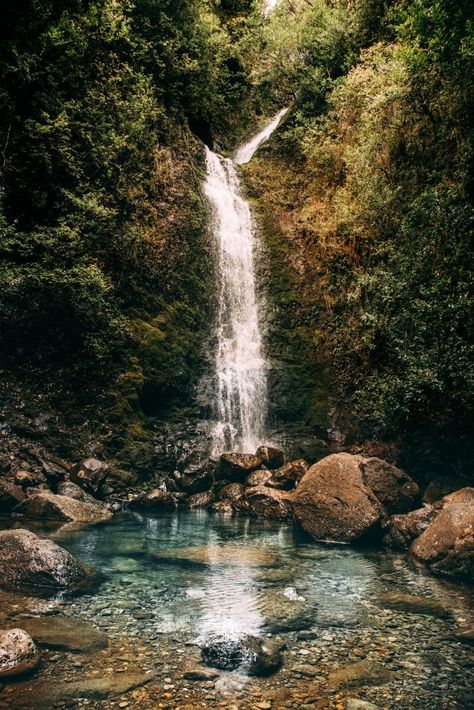 Business Moodboard, Waterfall Hike, Hawaii Pictures, Hawaii Photography, Waterfall Hikes, Hawaii Life, Waterfall Photography, Beautiful Waterfalls, Lush Greenery