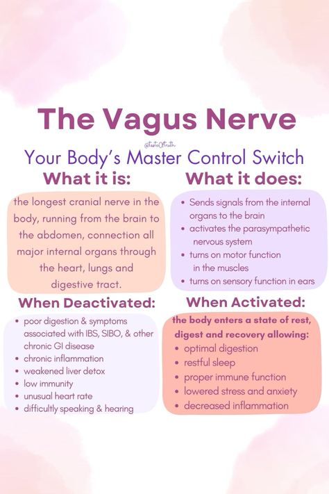 Tune in to hear about the nervous system, learn the importance of forgiveness, compassion and tips for activating the vagus nerve! #HealthTips #FitnessTips #SelfCare #NutritionTips #Wellness #HealthyLiving #FitLife #HealthyLifestyle Vagus Nerve Meditation, Vagus Nerve Reset, Vagus Nerve Symptoms, Healing Nervous System, Vagus Nerve Exercise, Stimulate Vagus Nerve, Vagus Nerve Healing, Vegas Nerve, Vagus Nerve Damage