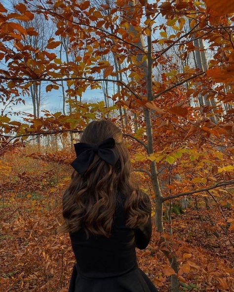 Yellow Leaves, Trees, Orange, Yellow, Black