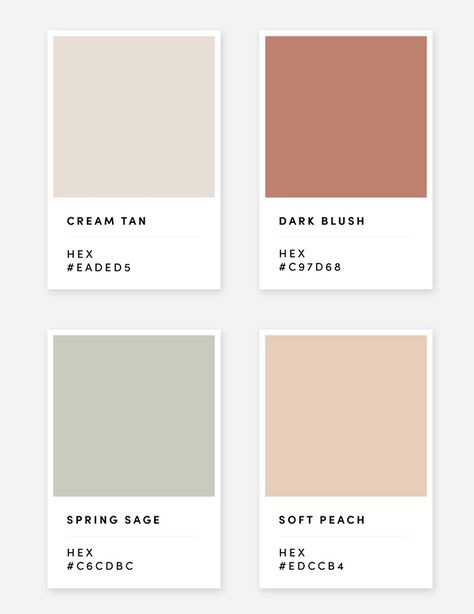 Japandi Hex Codes, Modern Neutral Palette, Summer Mountain Color Palette, Aesthetic Colour Schemes, Neutral Pastel Aesthetic, Peach Cream Color Palette, April Wedding Color Palette, Beige Tones Colour Palettes, Soft Muted Color Palette