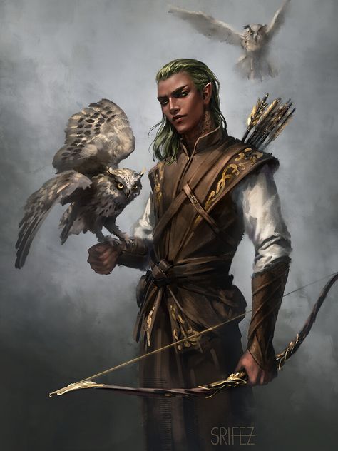 Elven Aesthetic Male, Wood Elf Ranger, Ranger Dnd, Elf Ranger, Dnd Elves, Male Elf, Elf Man, Elf Characters, Elf Druid