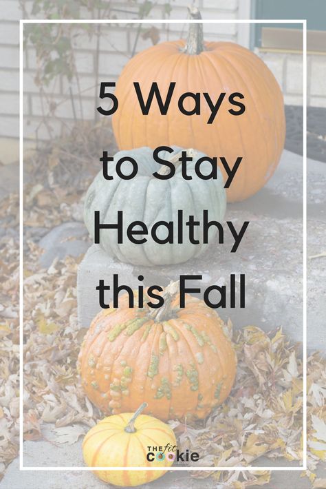 Fall is here and the weather is getting cooler, it's time to make sure that we stay healthy during the fall months! Here are 5 ways to stay healthy this fall so you can keep doing what you love - @TheFitCookie #AD #FitFluential #prAnaLovesMe | health | wellness | how to stay healthy | fall | Nutrition Topics, Fall Fitness, Healthy Living Motivation, Winter Wellness, Fall Months, Ways To Stay Healthy, Healthy Fall, Wellness Inspiration, Keeping Healthy