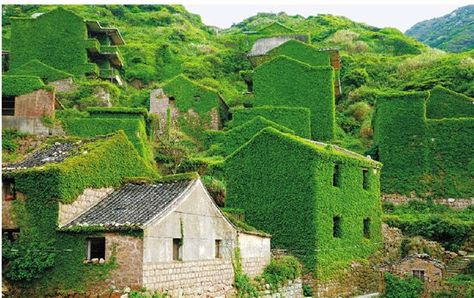 Recently, a set of photos of houses covered with tendril climbing plants in a deserted village in Zhoushan, east China’s Zhejiang province went viral on internet. Description from en.people.cn. I searched for this on bing.com/images Reclaimed By Nature, Simplicity Is Beauty, Green City, Learning Platform, Life Form, World Pictures, Fishing Villages, Yoga Retreat, Fairy Land