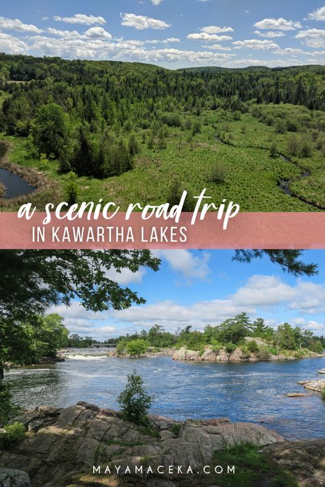 Kawartha Lakes Ontario, Trailer Parks, Butter Tart, Rv Resorts, Fall Afternoon, Staycation Ideas, Kawartha Lakes, Ontario Travel, Algonquin Park