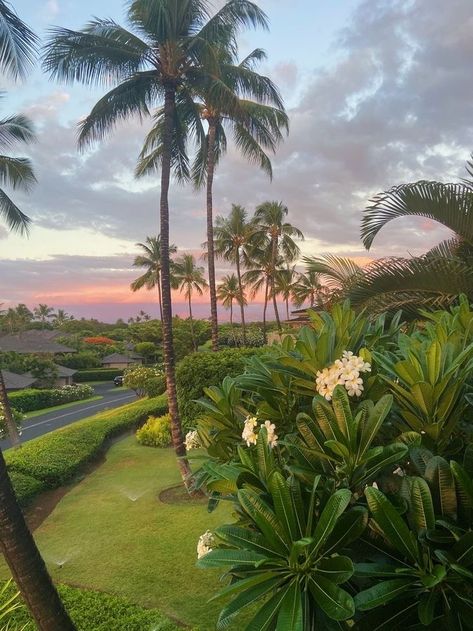 Sunset Flowers, Beachy Aesthetic, Pretty Landscapes, Flowers Green, Pretty Sky, Summer Dream, Tropical Vibes, Summer Pictures, Green Trees