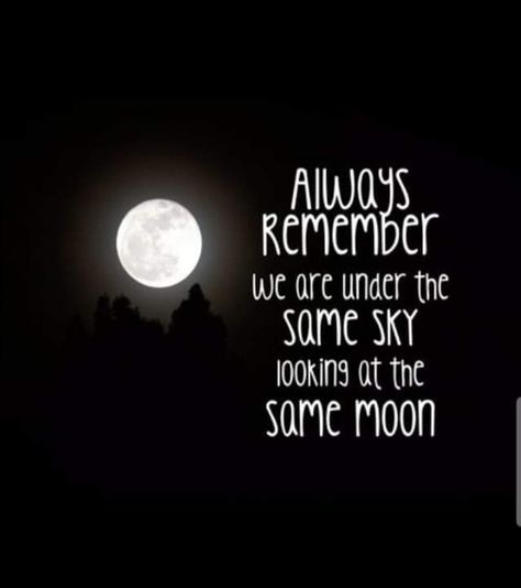 Moon Lovers Quotes, Looking At The Same Moon, Under The Same Sky, Long Distance Love Quotes, Now Quotes, Distance Love Quotes, Moon Quotes, Distance Relationship Quotes, Star Quotes