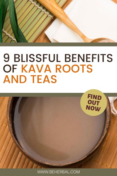 Vanuatu, Kava Root Benefits, Kava Kava, Captain Cook, Urinary Tract, Healing Herbs, Natural Health Remedies, Herbal Supplements, Health Remedies