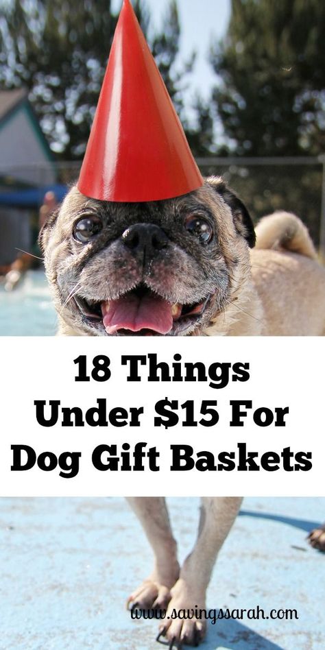 Have friends or family getting a dog? Want to celebrate a milestone with your favorite pooch? Then, check out these 18 Things To Put In Dog Gift Baskets Under $15. Great dog gifts for all sorts of pups. Dog Gift Basket Ideas, Dog Lover Gift Basket, Puppy Gift Basket, Welcome Home Basket, Pet Gift Basket, Dog Easter Basket, Dog Gift Basket, Get Well Baskets, Getting A Dog