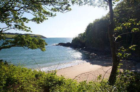 Bosahan Cove - The Helford Estuary, Dog Friendly Beach Helford Cornwall, Cornwall Summer, Trip Goals, Plant Witch, Things To Do In Cornwall, Coastal Pictures, Devon Cornwall, Uk Places, Falmouth Cornwall