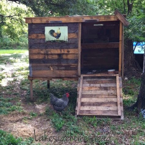 Lakeside Homestead : DIY Chicken Coop from pallets and scrapes Chicken Coop From Pallets, Coop From Pallets, Chicken Coop Designs Diy, Cheap Chicken Coops, Urban Chicken Farming, Chicken Coop Pallets, Small Chicken Coops, Easy Chicken Coop, Backyard Chicken Coop Plans