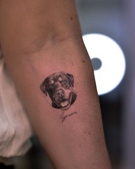 Dog Tattoo Rottweiler, Simple Rottweiler Tattoo, Realistic Pet Tattoos, Rotweiller Tattoo, Micro Dog Tattoo, Realism Dog Tattoo, Small Pet Portrait Tattoo, Dog Tattoo Realism, Rottie Tattoo