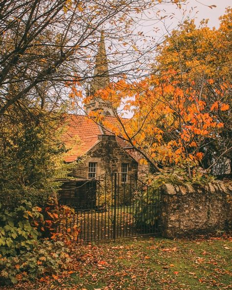 Cozy Falkland 🍁 It's very right to arrive in a strange city in the morning. By train, by plane - it doesn't matter. The day begins as if from a clean slate... #instabritain #visitbritain #lovegreatbritain #photosofbritain #countryside #cottagecore #scotland #cottagelife City In The Morning, It Doesn't Matter, Clean Slate, By Plane, Doesn't Matter, Cottage Core, In The Morning, Great Britain, The Morning