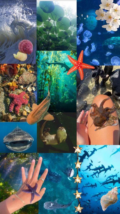 environmental science Environmental Science Major, Environmental Scientist, Marine Biologist, Dream Career, Marine Biology, Environmental Science, Marine Life, Science, Pattern