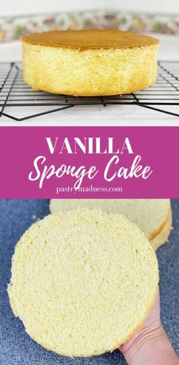 Vanilla Sponge Cake Recipe Sponge Layer Cake, Individual Trifle, Recipes Using Sour Cream, Vanilla Sponge Cake Recipe, Pumpkin Shaped Cake, Cheese Burrito, Cake Summer, Sponge Recipe, Sponge Cake Recipe