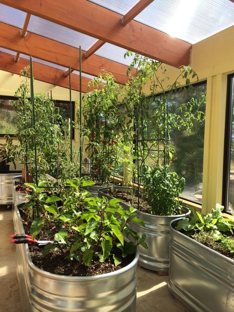 3 Ways to Heat Your Greenhouse for Free this Winter | Ceres Greenhouse Attached Greenhouse, Serre Diy, Greenhouse Decor, Passive Solar Greenhouse, Cheap Greenhouse, Aquaponics Greenhouse, Greenhouse Farming, Solar Greenhouse, Greenhouse Interiors