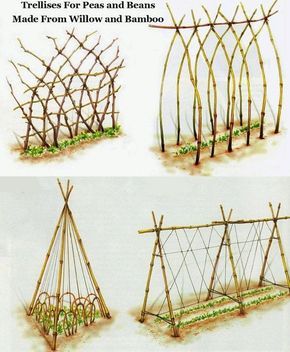 DIY Trellis ideas using willow and bamboo.: Plantarea Legumelor, Building A Trellis, Growing Peas, Diy Trellis, Garden Vines, Secret Gardens, Veg Garden, The Secret Garden, Vegetable Garden Design