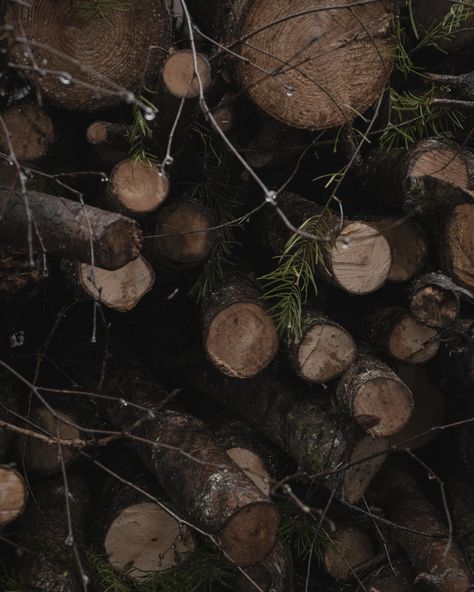 Out in the woods or inside a cabin, there is something cozy about a pile of logs #logs #logpile #wood #outdoors #timber #woodpile #textureshot #naturaltones #outdoorlife #outinthewoods #naturalaesthetics #woodcutting #pileoflogs #lovetexture #moodynature #darkandmoody #aesthetic #cosyvibes #agameoftones #browns #woodstack #texturesandtones #forestry #simplethingsmadebeautiful #livemoremagic #rustic #moody_tones #moody_captures #raw_textures Logging Aesthetic, Brown Woods Aesthetic, Firewood Aesthetic, Wood Logs Aesthetic, Scary Woods Aesthetic, Pile Of Logs, Aesthetic Woods Forest Dark, Wood Pile, Textures And Tones