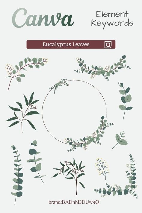 Font Canva Lettering, Elements In Canva, ملصق بحث, Eucalyptus Plant, Instagram Branding Design, Keyword Elements Canva, Canvas Learning, Foliage Wedding, Canva Element