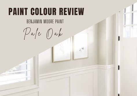 With many different hues each with its own undertones, choosing the perfect neutral paint colour for your home can be overwhelming. Enter Pale Oak by Benjamin Moore! In this article, we explore everything you need to know about Pale Oak, from its LRV and how it looks under different lighting conditi Pale Oak Vs White Dove, Pale Oak Benjamin Moore Lrv, Benjamin Moore Pale Oak Cabinets, Pale Oak And White Dove, Bm Pale Oak, Pale Oak Benjamin Moore, Benjamin Moore Pale Oak, Sherman Williams Paint, Benjamin Moore Kitchen