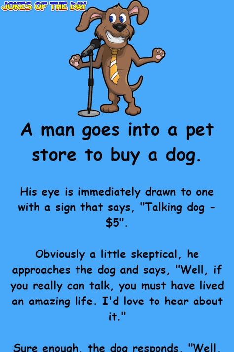 Funny Joke: A man goes into a pet store to buy a dog.   His eye is immediately drawn to one with a sign that says, "Talking dog - $5".   Obviously a little If Dogs Could Talk, Funny Dog Signs, Funny Dog Jokes, Jokes About Men, Funniest Jokes, Talking Dog, Dog Jokes, Dog Video, Dog Quotes Funny