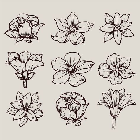 Free Vector | Hand drawn spring flower collection Halloween Flower Drawing, Commercial Background, Flowers Drawn, Floral Drawings, Spring Drawing, Doodle Art Flowers, Different Types Of Flowers, Flower Art Drawing, Flower Collection