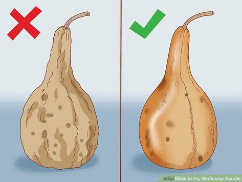 Painting Gourds Ideas Diy, How To Make Gourds Birdhouse, Bird House Gourds Ideas, Decorating Gourds Craft Ideas, Gord Bird House Ideas, Dried Gourds Crafts Ideas, How To Make Bird Houses Out Of Gourds, Cleaning Gourds, Gourd Bird Houses How To Make