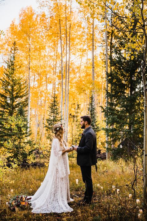 Colorado Elopement | Fall Colors in Breckenridge | Colorado Elopement Photographer | Vow of the Wild Aspen Grove, Fall Elopement, Fall Wedding Photography, Forest Elopement, Colorado Fall, Fall Wedding Photos, Colorado Adventures, Breckenridge Colorado, Wedding Photography Bride