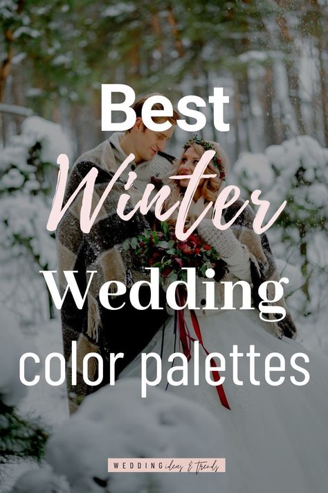 Gray Winter Wedding Colors, Winter Wedding 2023 Colors, Wedding Color Schemes For February, Weddings In January Ideas, Winter Color Schemes Wedding, Wedding Party Colors Winter, Wedding Decor Winter Theme, Winter Color Wedding Ideas, Colors For Winter Wedding