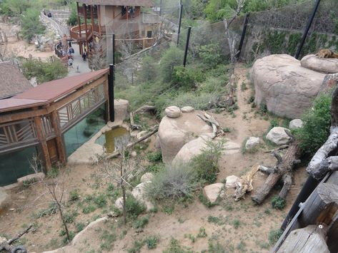 https://www.zoochat.com/community/media/african-lion-exhibit.628173/full?lightbox=1&update=1672166615 Zoo Exhibit, Zoo Boo, Zoo Inspiration, Zoo Project, Zoo Architecture, Zoo Ideas, Indoor Greenhouse, African Lion, Habitat