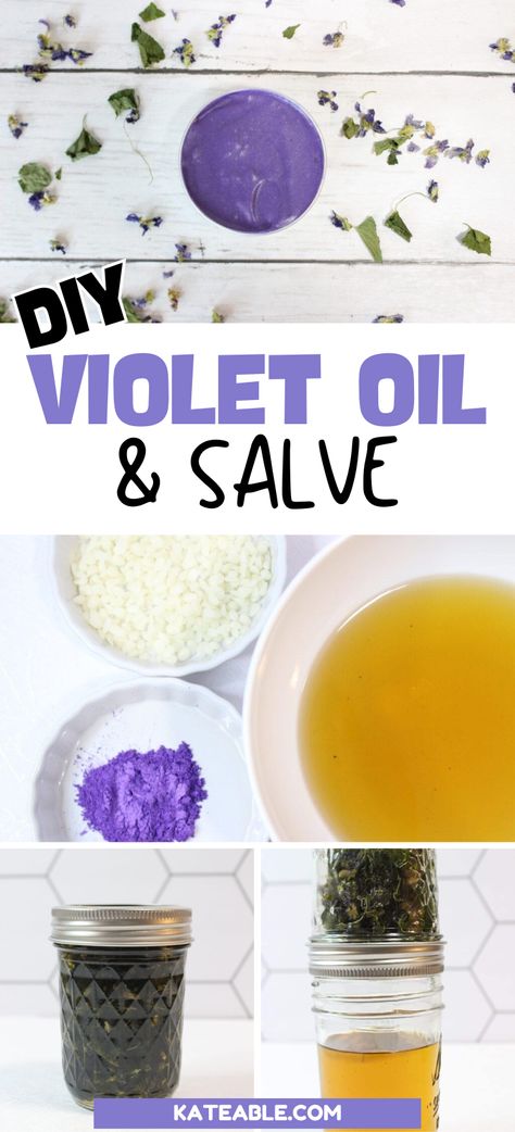 Want to know how to make violet infused oil? Learn all the violet oil benefits, along with a super easy violet leaf infused oil and salve recipe! Violet Oil Recipe, Violet Tincture, Violet Oil, Common Blue Violet Recipes, Wild Violet Salve, Violet Syrup Recipe, Violet Salve, Violet Recipes, Violet Essential Oil