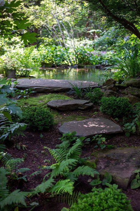 Bog Gardens, Dragonfly Pond, Phoenix Garden, Hampton Garden, Nebelung, Garden Pond Design, Ferns Garden, American Garden, Backyard Garden Landscape