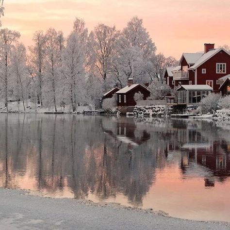 Sweden Aesthetic, Foto Tips, Winter Love, Winter Magic, Winter Scenery, Winter Beauty, Winter Wonder, Winter Aesthetic, Nature Scenes