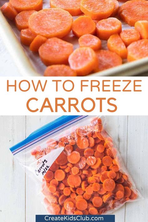 Wondering how to freeze carrots? Below you’ll learn how to blanch carrots which includes boiling for a short time then placing them in an ice bath prior to freezing. Frozen carrots can be roasted, boiled, or sauteed for a quick and simple side dish. Frozen carrots can also be incorporated into a family favorite recipe. From spring to summer, fall to winter, you can add nutrients and color to any dish by keeping carrots in the freezer. Freezing Carrots Without Blanching, How To Freeze Carrots, Freezing Carrots, Frozen Carrots, How To Store Carrots, Fresh Carrots, Raw Carrots, Chicken Health, Ice Bath