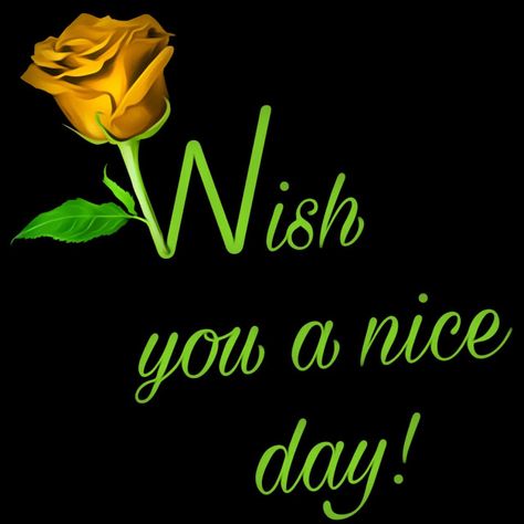 Have A Nice Day Images, Nice Day Images, Morning Massage, Funny Happy Birthday Images, Great Day, Good Morning Massage, Wow Words, Have An Awesome Day, Beautiful Flowers Images