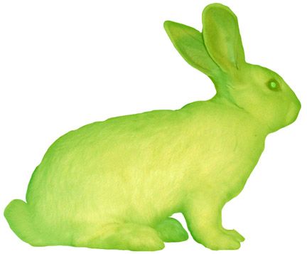 An oldie but goodie: Meet Alba, a transgenic bunny that fluoresced green (when exposed to uv light … okay, not exactly glow in the dark – but close enough) thanks to a jellyfish gene for Green Fluorescent Protein (GFP). Alba was genetically engineered by Eduardo Kac in 2000: Oryx And Crake, Raising Rabbits, Slime Mould, Bio Art, Genetic Engineering, Art Appliqué, New Media Art, Art Science, Mythical Creatures Art