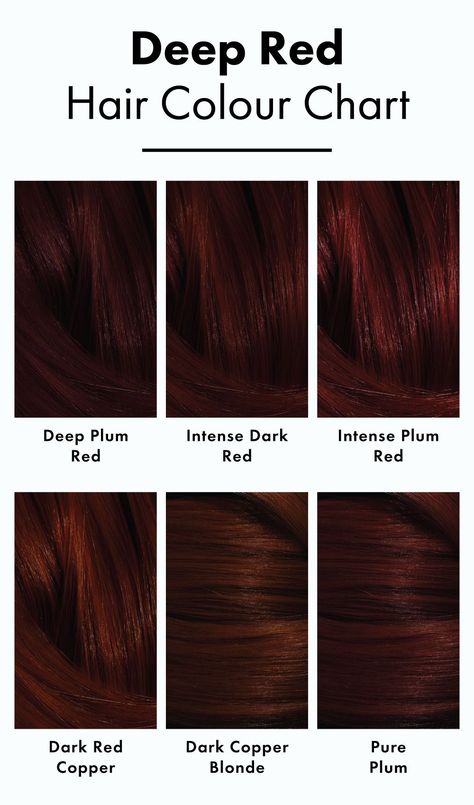 Balayage, Expensive Red Hair Color, Darkest Red Hair Color, Cool Winter Red Hair, Red Color On Brown Hair, New Hair Colour 2024, Red Hair For Deep Winter, Dark Natural Red Hair Color, Red Winter Hair