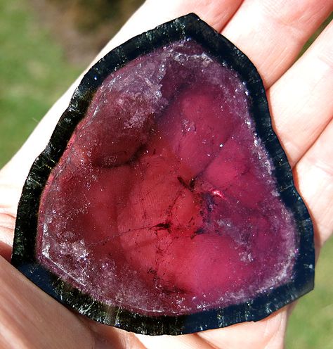 Crystals Energy, Black Pinterest, Summer Street Style, Red Tourmaline, Beautiful Gemstones, Pretty Rocks, Crystal Energy, Gift Suggestions, Summer Street