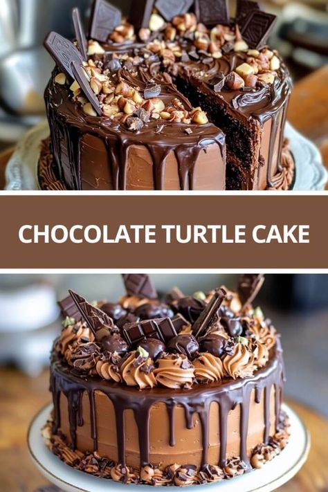 Oreo Turtle Cake, Turtle Desserts, Chocolate Turtle Cake Recipe, Burns Nursing, Chocolate Turtle Cake, Turtle Dessert, Turtles Cake, Chocolate Turtle, Chocolate Candy Cake