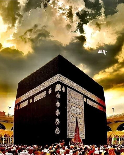 Kaba Madina, Makka Madina, Khana Kaba, Islamic Calligraphy Quran, Medina Mosque, Imam Hussain Wallpapers, Masjid Al Haram, Tiger Pictures, I Love You Pictures