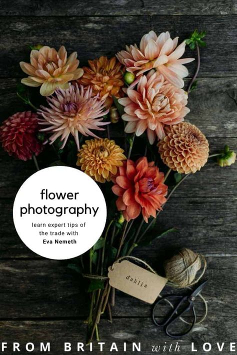 Flower photography tips and ideas by Eva Nemeth - From Britain with Love Eva Nemeth, Flower Flat Lay, Terrarium Stand, Bird Plant, Field Work, Bulb Vase, Plant Terrarium, British Flowers, Creative Flower Arrangements