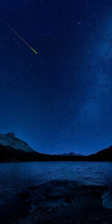 So very beautiful Photo Ciel, Faraway Tree, Beautiful Night Sky, Sky Full Of Stars, Midnight Sky, The Night Sky, Klein Blue, Beautiful Sky, Starry Sky