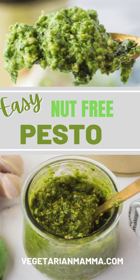 Vegan Nut Free Pesto, But Free Pesto, Dairy Free Nut Free Pesto, Nut Free Pesto Recipe, Oil Free Pesto, Pine Nut Pesto, Chicken Pesto Pasta Salad, Vegan Pesto Recipe, Nut Free Pesto