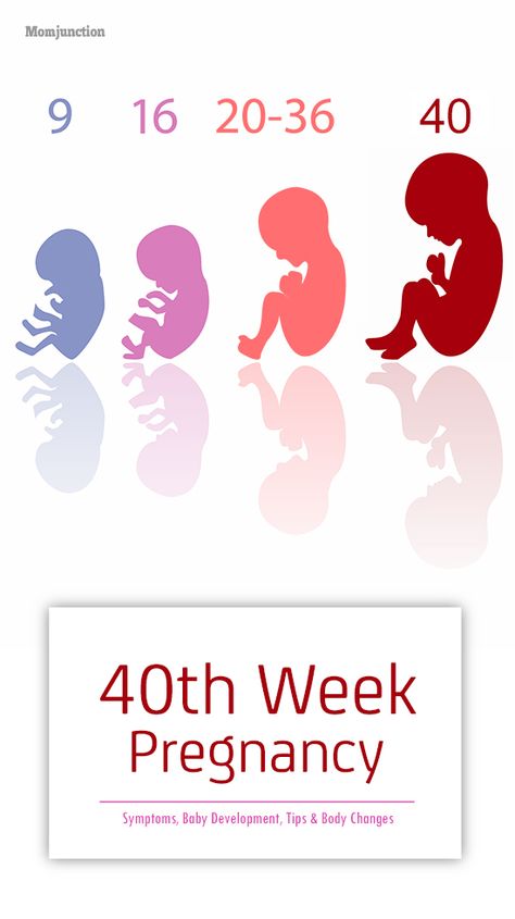 40th Week Pregnancy: Symptoms, Baby Development, Tips And Body Changes Stages Of Baby Development, Baby Development Milestones, 33 Weeks Pregnant, Baby Development Activities, 34 Weeks Pregnant, 37 Weeks Pregnant, 31 Weeks Pregnant, First Time Pregnancy, Pregnancy Apps