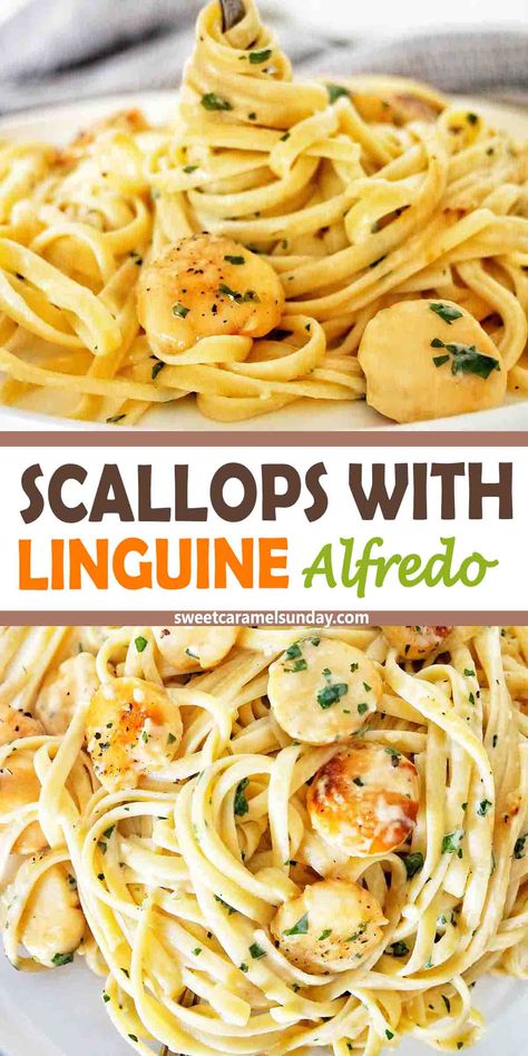 Scallop Linguine is a quick and easy seafood pasta recipe with succulent flavors and a decadent sense about it! With pan seared scallops, al dente pasta and a creamy pasta sauce this winning combination will have everyone licking their lips. Linguine with scallops can be your special occasion dish, just because dish or 'Winner winner scallop dinner' dish. @sweetcaramelsunday Scallop Linguine, Easy Seafood Pasta, Scallop Dinner, Linguine Alfredo, Scallop Recipes Pasta, Scallop Pasta, Fish Dinners, Seafood Recipes Scallops, Seafood Dish Recipes