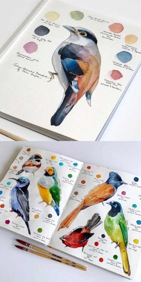 Nature Sketchbook, Kunstjournal Inspiration, Birds Illustration, رسم كاريكاتير, Gcse Art Sketchbook, Watercolor Birds, 수채화 그림, Watercolor Art Lessons, Gcse Art