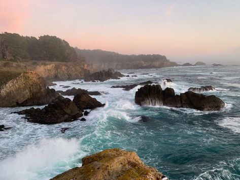 Bodega Bay California, Stay Curious, Sonoma Coast, Bodega Bay, Kayak Tours, Mill Valley, Say Cheese, Best Cheese, Sacramento California