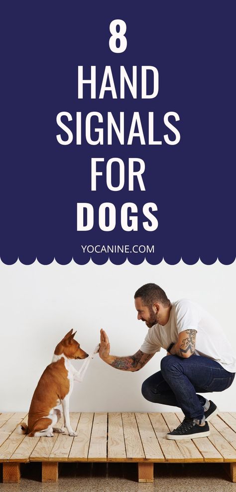 Dog Commands Training Hand Signals, Dog Hand Signals Chart, Puppy Training Hand Signals, Hand Signs For Dog Training, Dog Training Hand Signals Chart, Hand Signals For Dogs, Dog Hand Signals, Dog Training Hand Signals, Dog Psychology