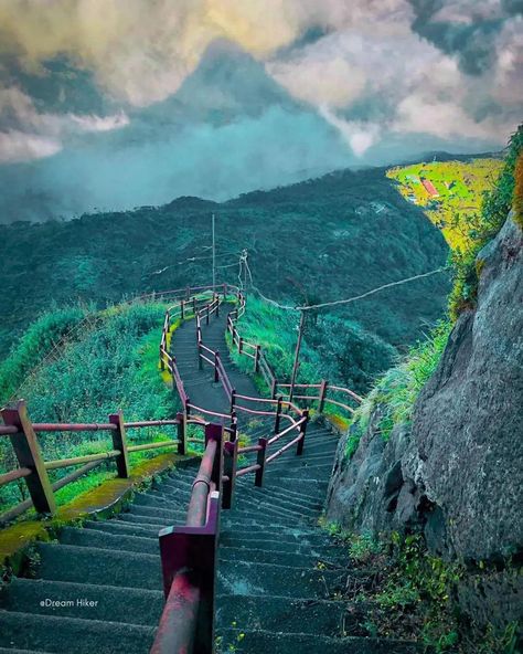 𝐒𝐫𝐢 𝐏𝐚𝐝𝐚 / 𝐀𝐝𝐚𝐦❜𝐬 𝐏𝐞𝐚𝐤 😍🙏 🌷🙏 Sri Pada, also known as Adam’s Peak, is a 2,243m (7,359 ft) mountain in the central highland region of Sri Lanka. Popular for Sri Lankans and tourists alike. The typical climb is started in the middle of the night so you can reach the peak for a breathtaking adams peak sunrise. 📸 DM For Credit Or Removal, Credit Always Goes to respective owners 🌐 Website: www.blueskygalletaxis.com 📧 Email: tours@blueskygalletaxis.com 📱 Whatsapp: +94764326808 📸 Follow us on ... Adams Peak, Adam's Peak, Middle Of The Night, The Peak, Sri Lanka, Climbing, Travel, Quick Saves