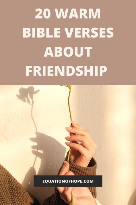 What does having godly friendships look like? How should true friends treat each other and maintain their friendship? Today we are going to be exploring friendship. Below I’m sharing 20 warm bible verses about friendship. #friendshipverses #bibleverses #scripture Friendship Scripture, Friends Bible Verse, Friendship Bible, Verses About Friendship, Good Scriptures, Galentines Day Ideas, Make Your Life Better, Christian Verses, About Friendship